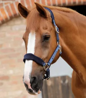 Fleece Padded Horse Head Collar Navy